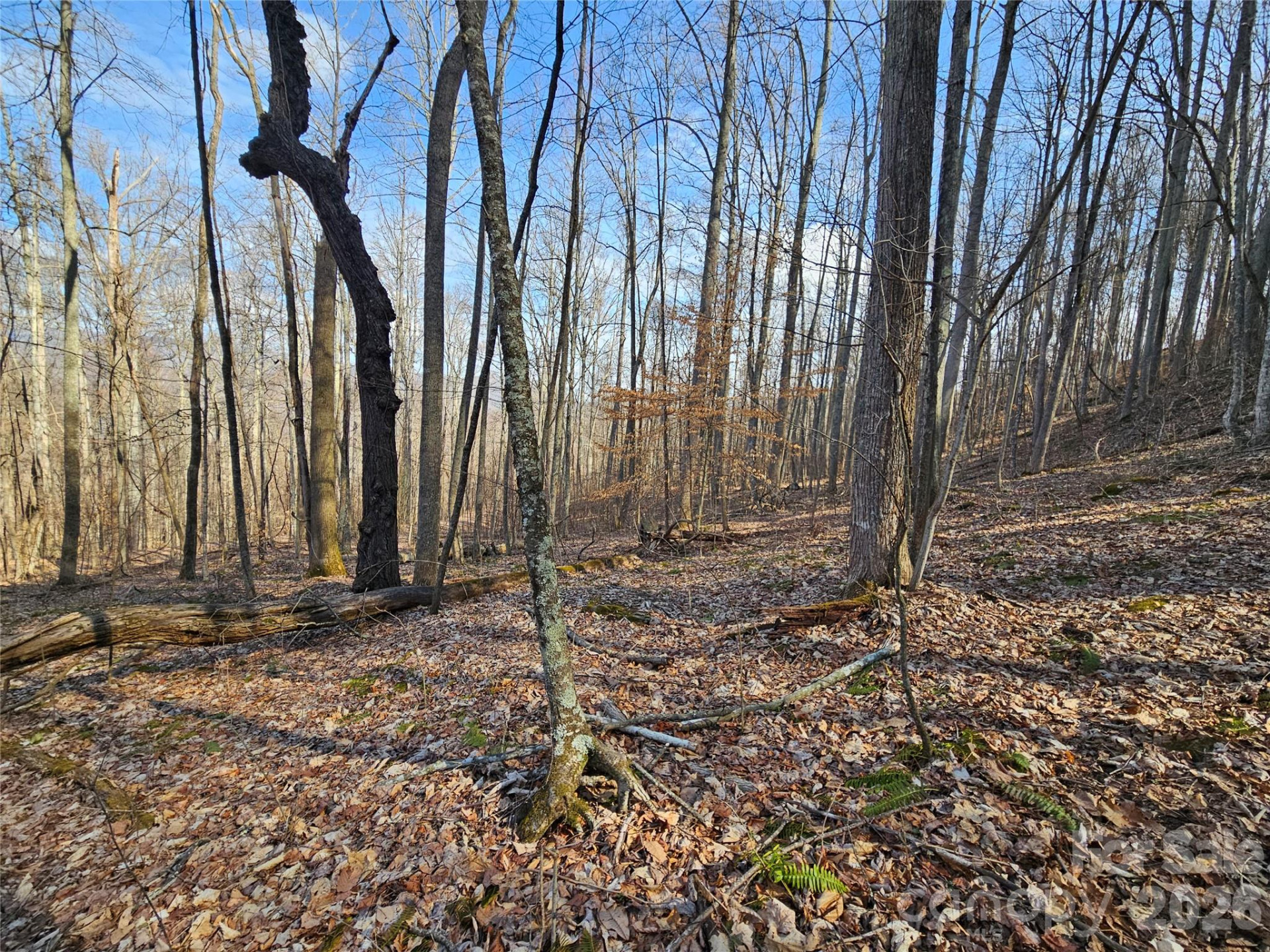 00 Red Wolf Run Road #E-7 - Photo 3