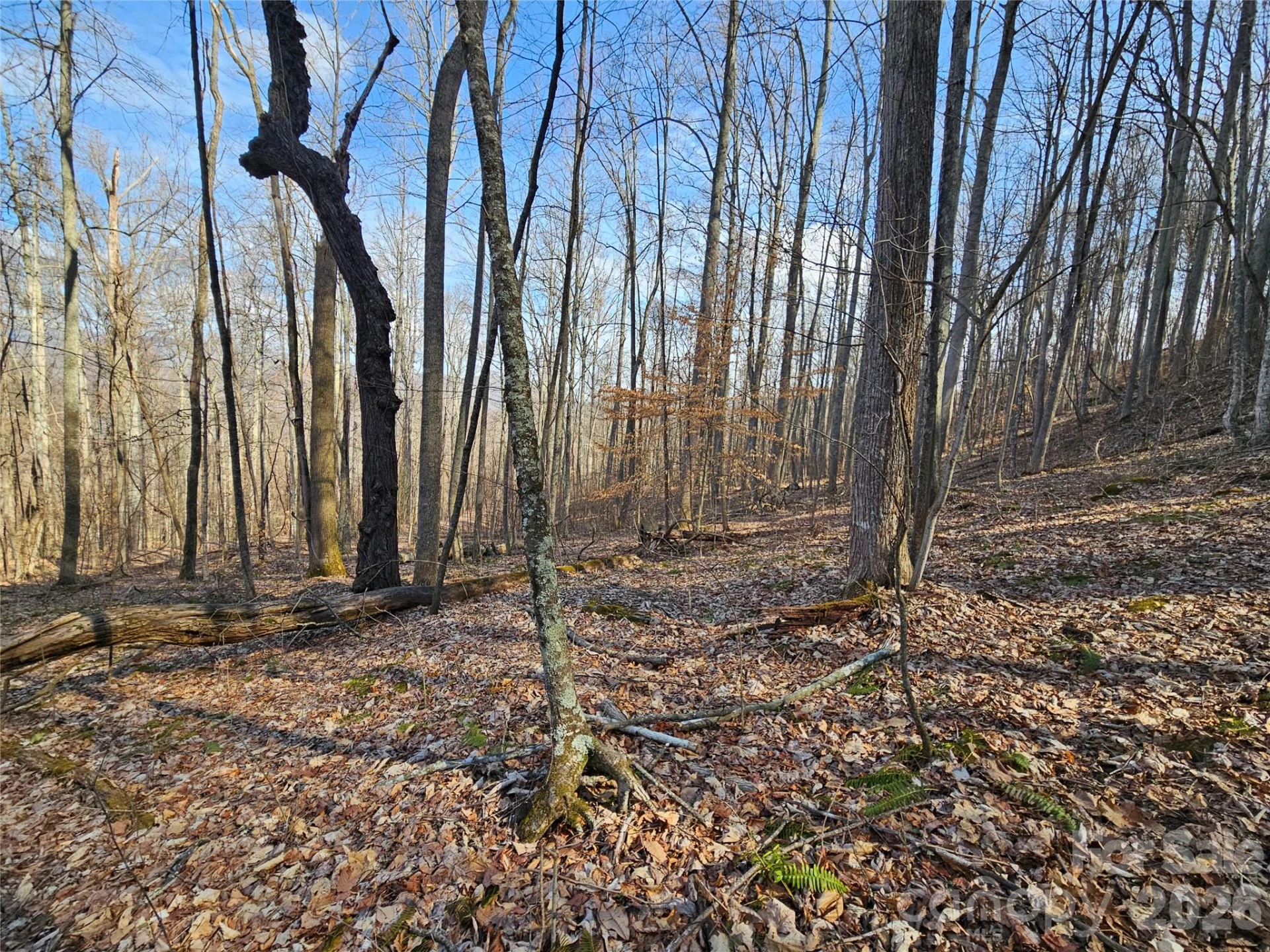 00 Red Wolf Run Road #E-7 - Photo 3