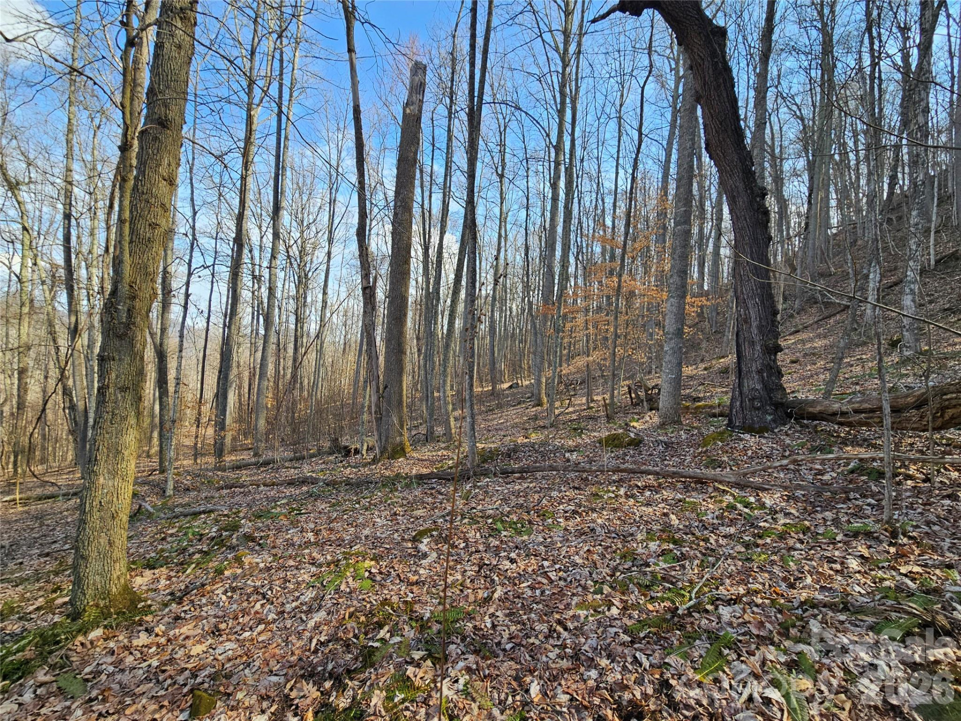 00 Red Wolf Run Road #E-7 - Photo 4