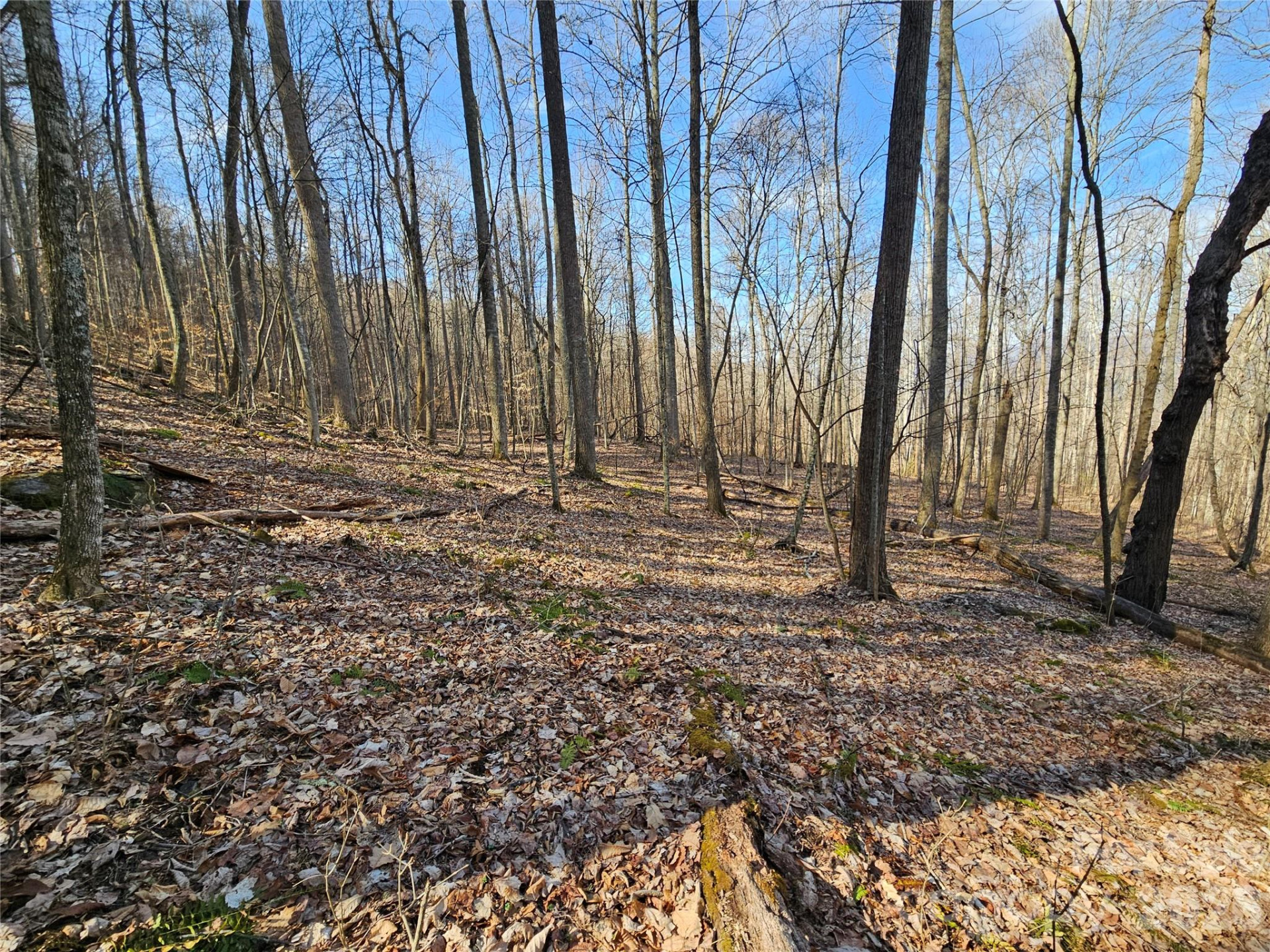 00 Red Wolf Run Road #E-7 - Photo 5