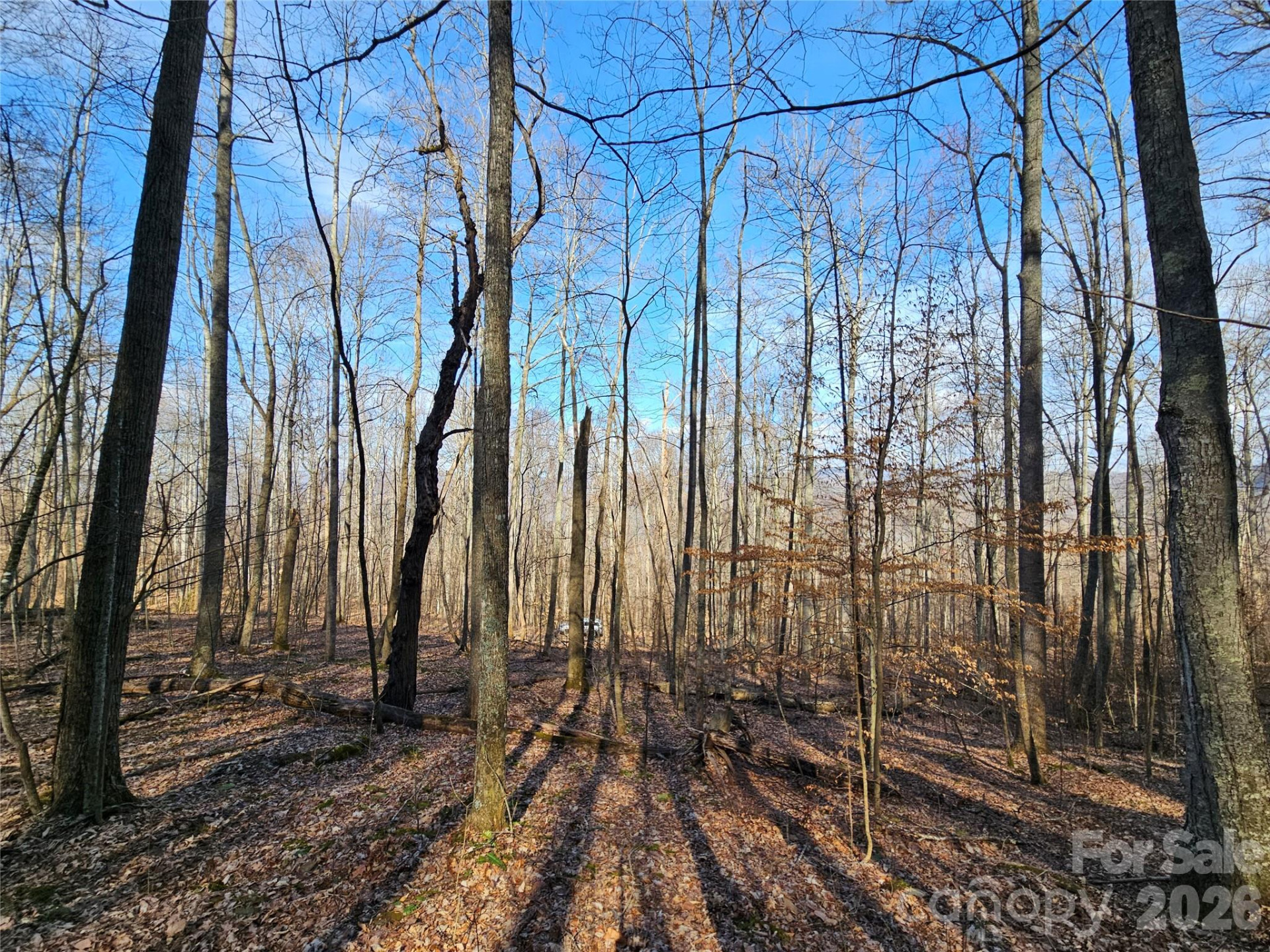 00 Red Wolf Run Road #E-7 - Photo 6