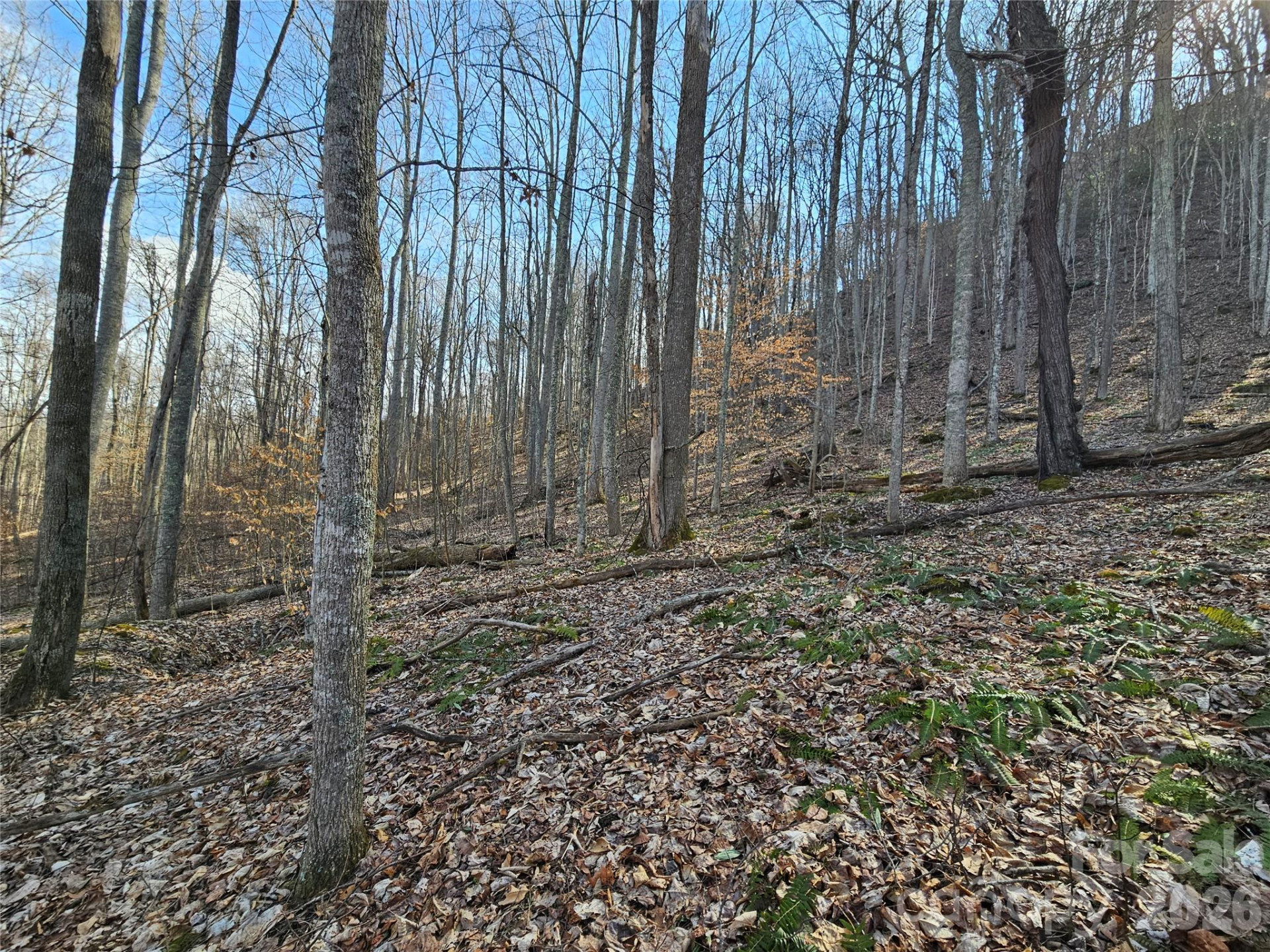 00 Red Wolf Run Road #E-7 - Photo 7