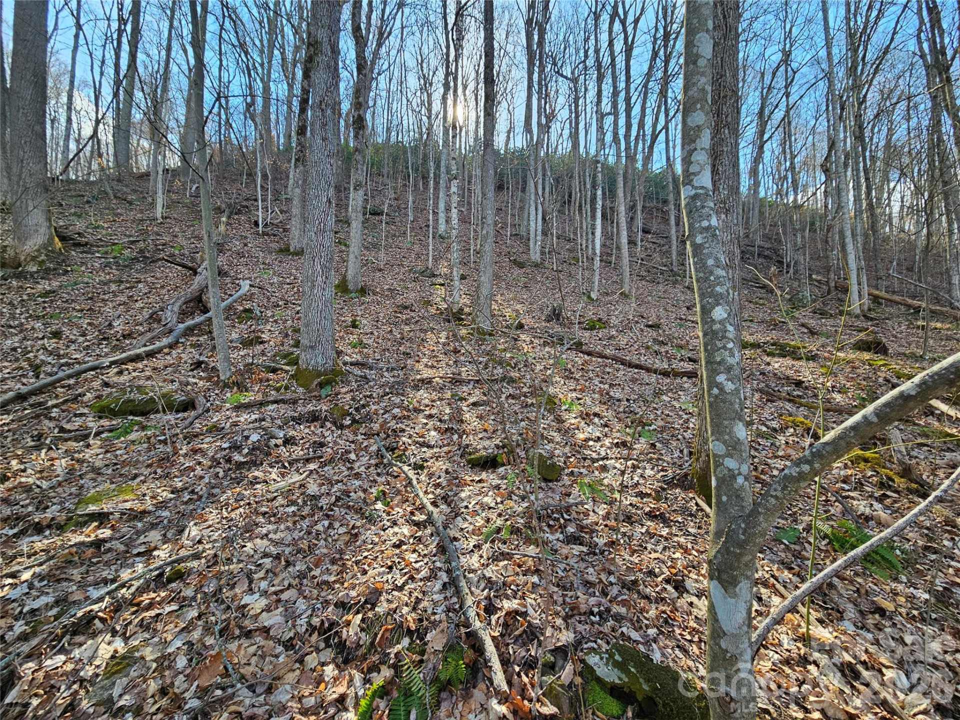 00 Red Wolf Run Road #E-7 - Photo 8