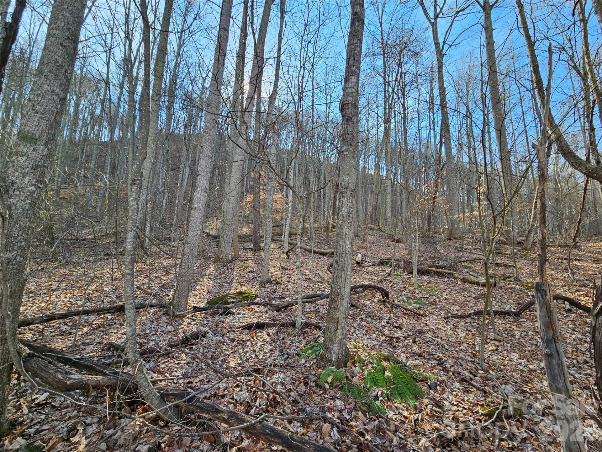 00 Red Wolf Run Road #E-7 - Photo 9