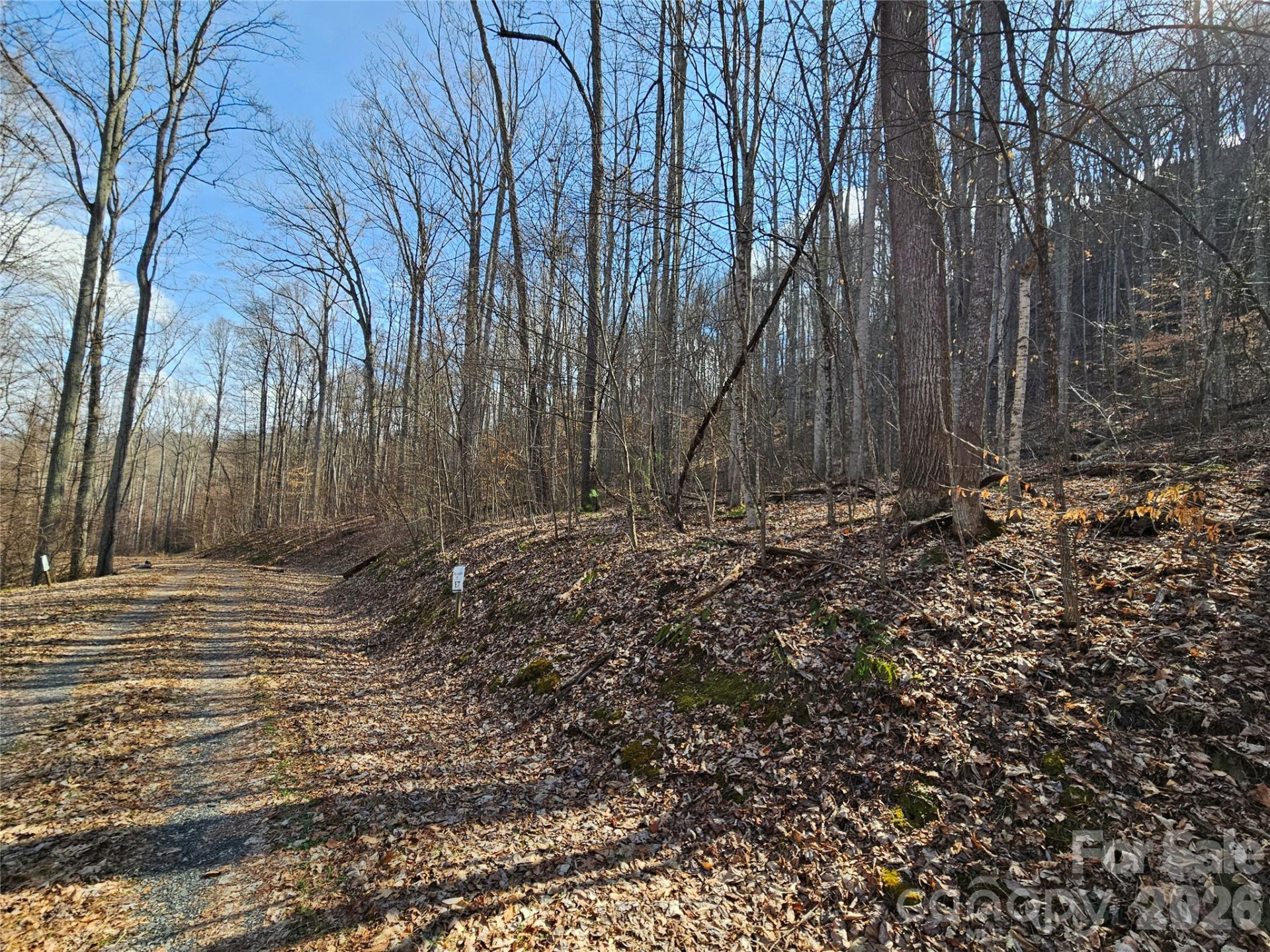 00 Red Wolf Run Road #E-7 - Photo 10