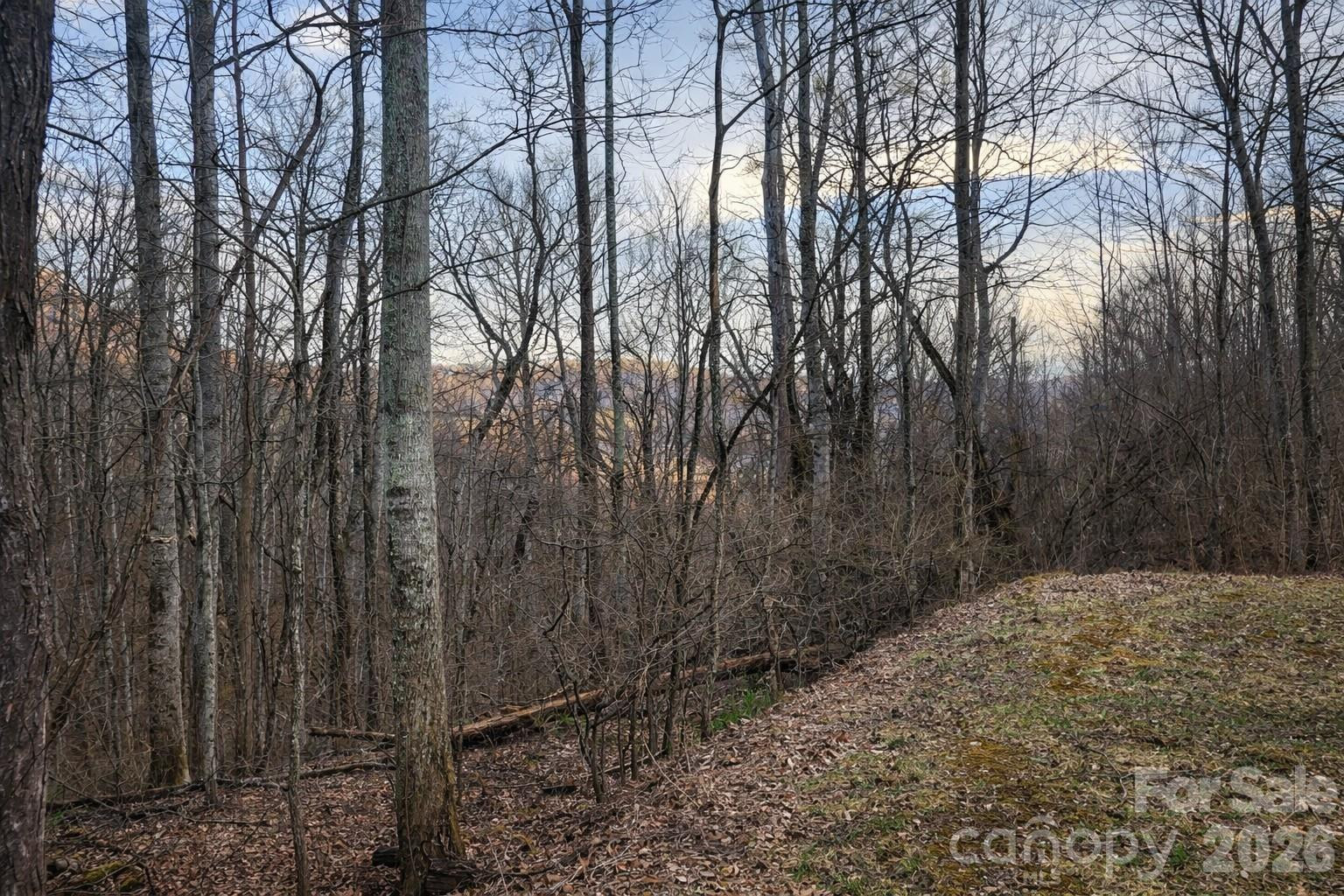 00 Upward Way #1 - Photo 5