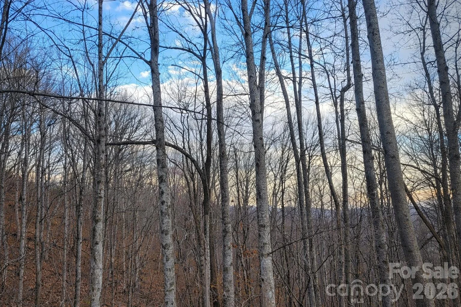 00 Upward Way #1 - Photo 9