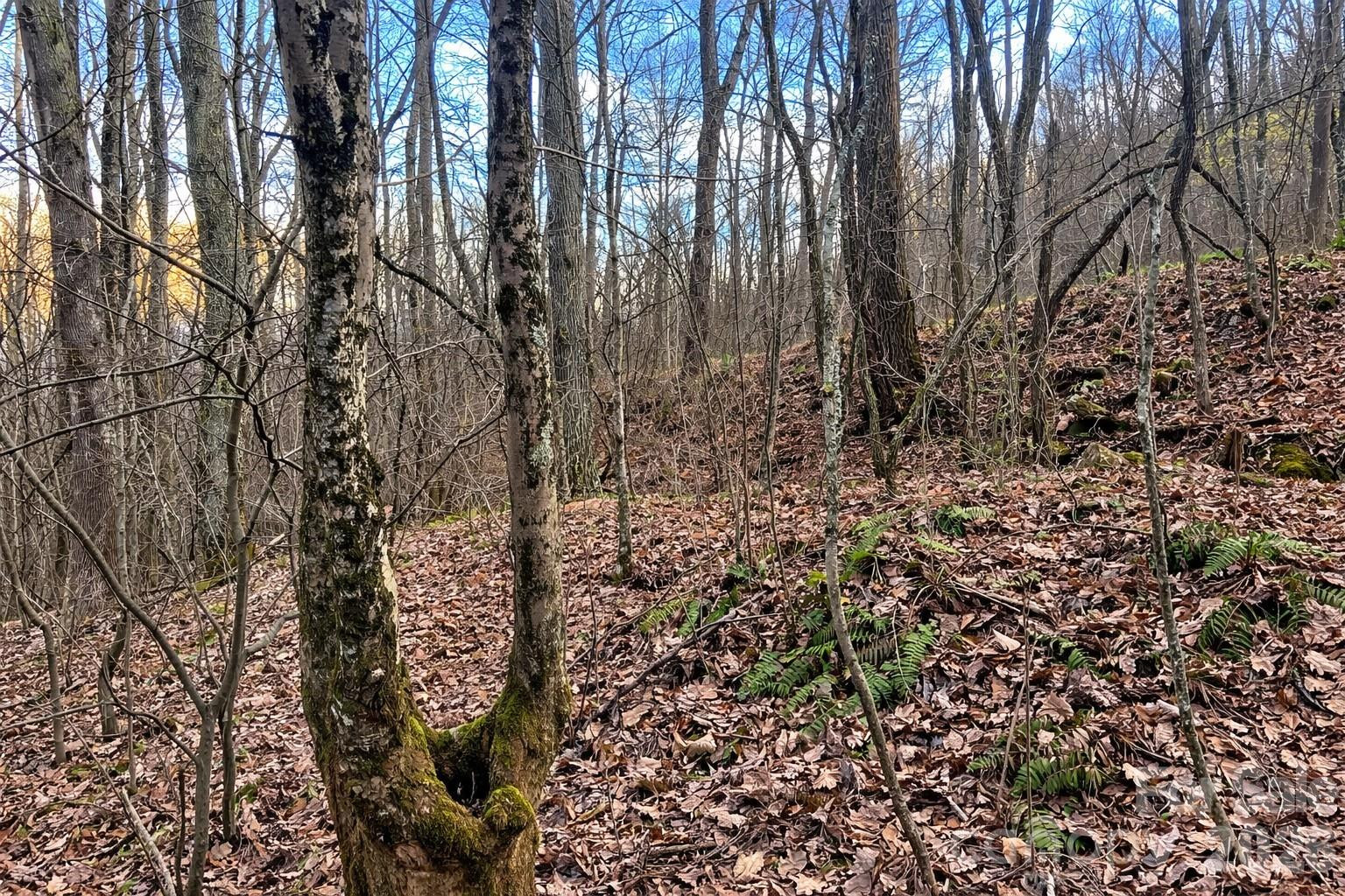 00 Upward Way #1 - Photo 8