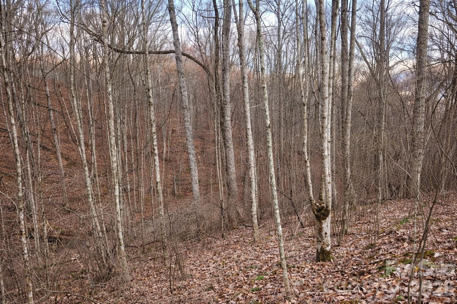 00 Upward Way #1 - Photo 9