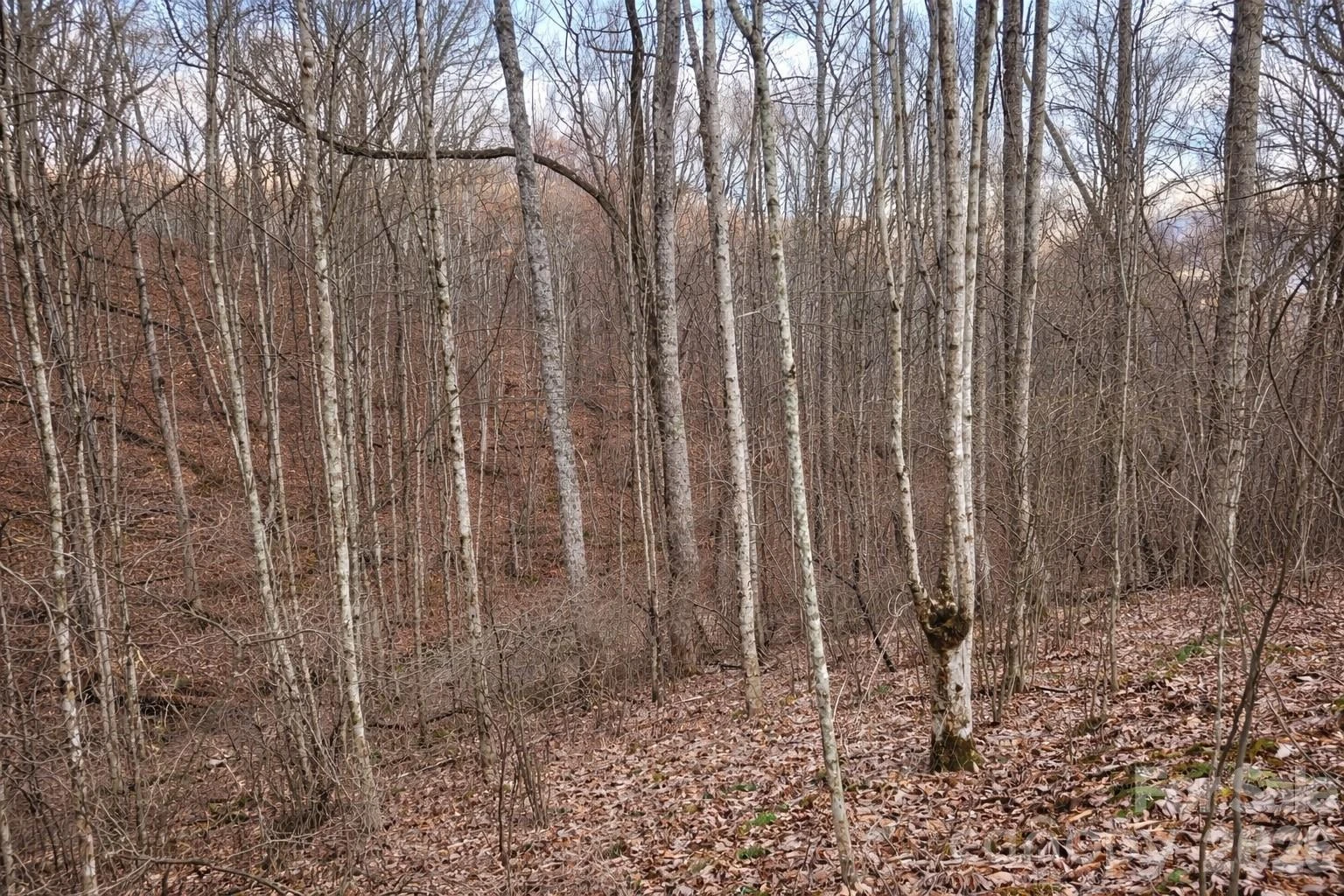 00 Upward Way #1 - Photo 11
