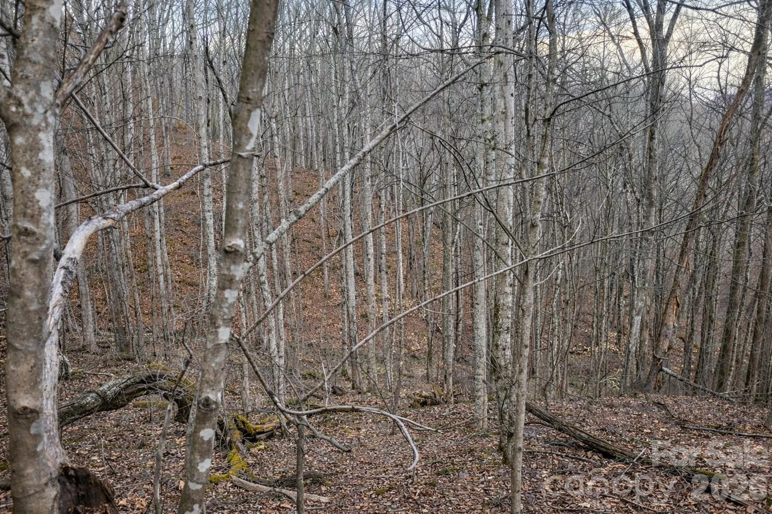 00 Upward Way #1 - Photo 12