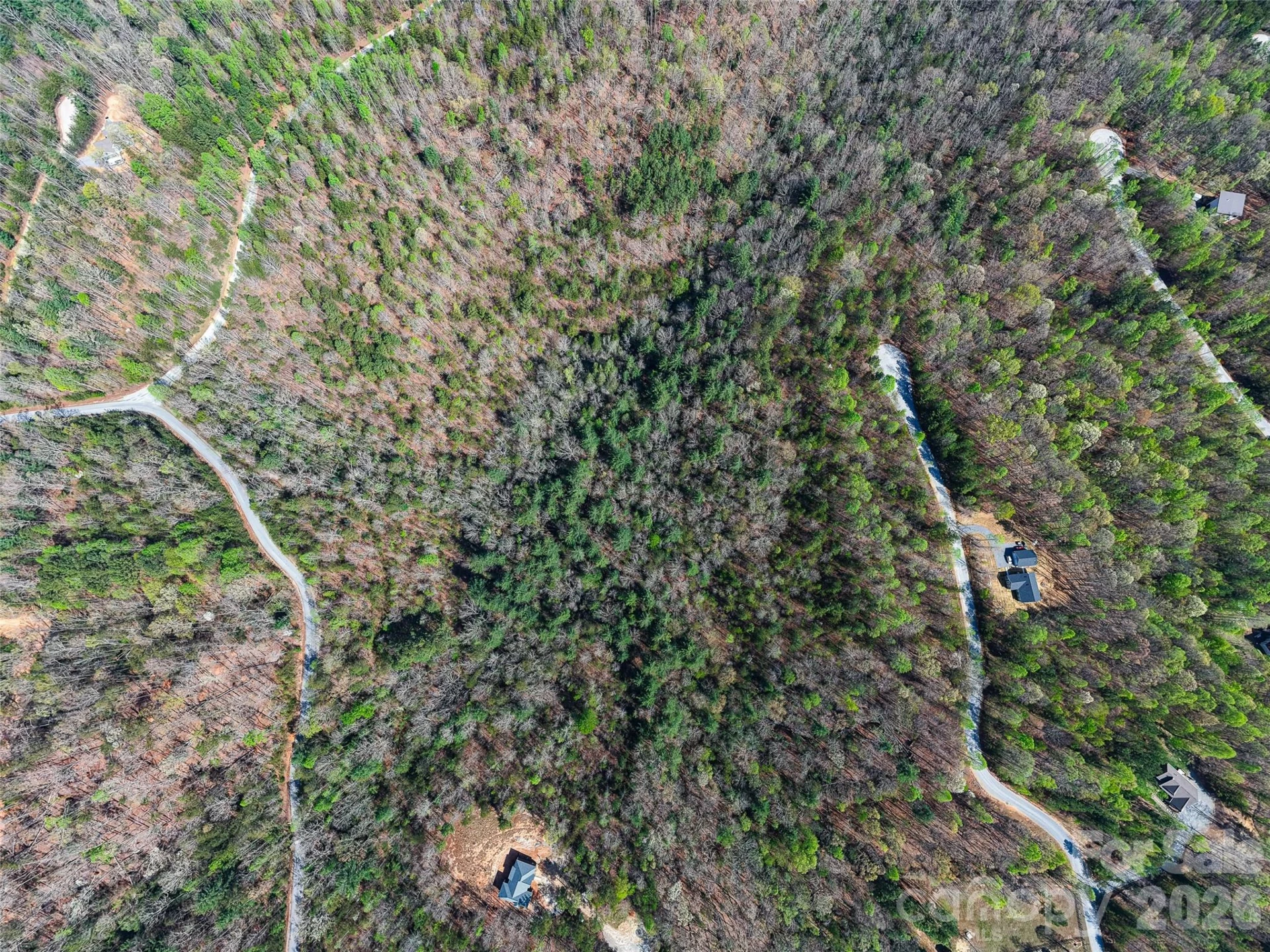 0 Tayberry Drive - Photo 6