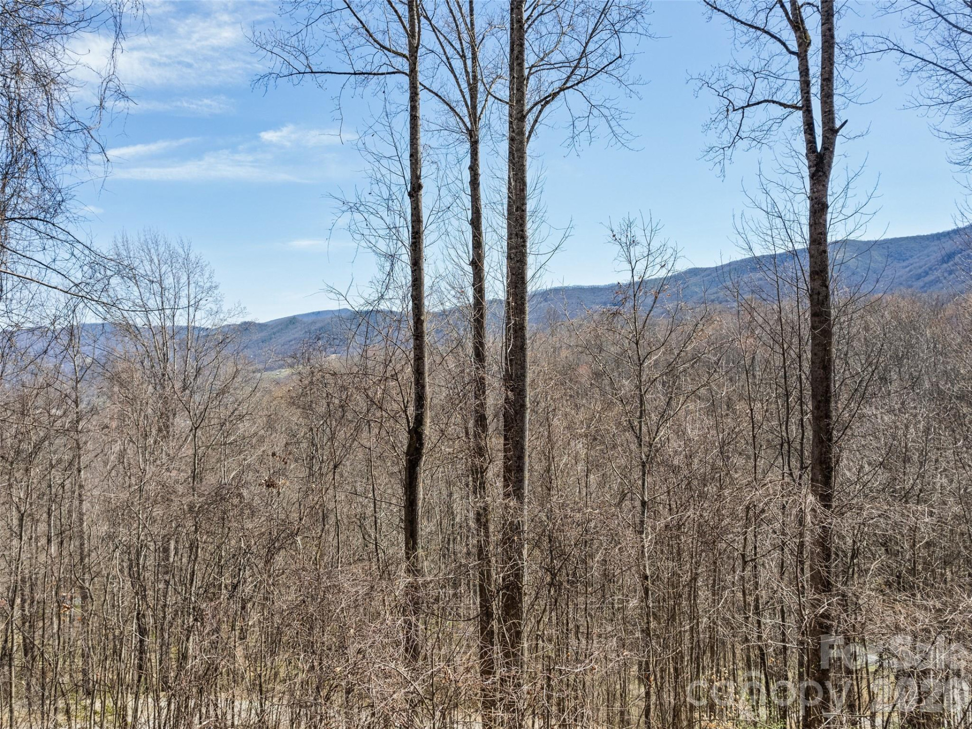 401 Tipstill Cove - Photo 39