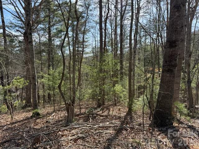 2 Frontier Court - Photo 2