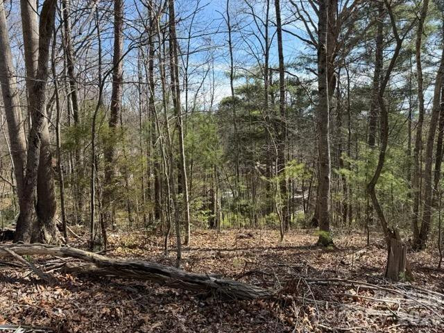 2 Frontier Court - Photo 3