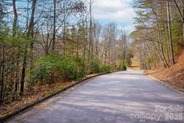 Lot 13 Deerlake Drive, Brevard, NC, 28712