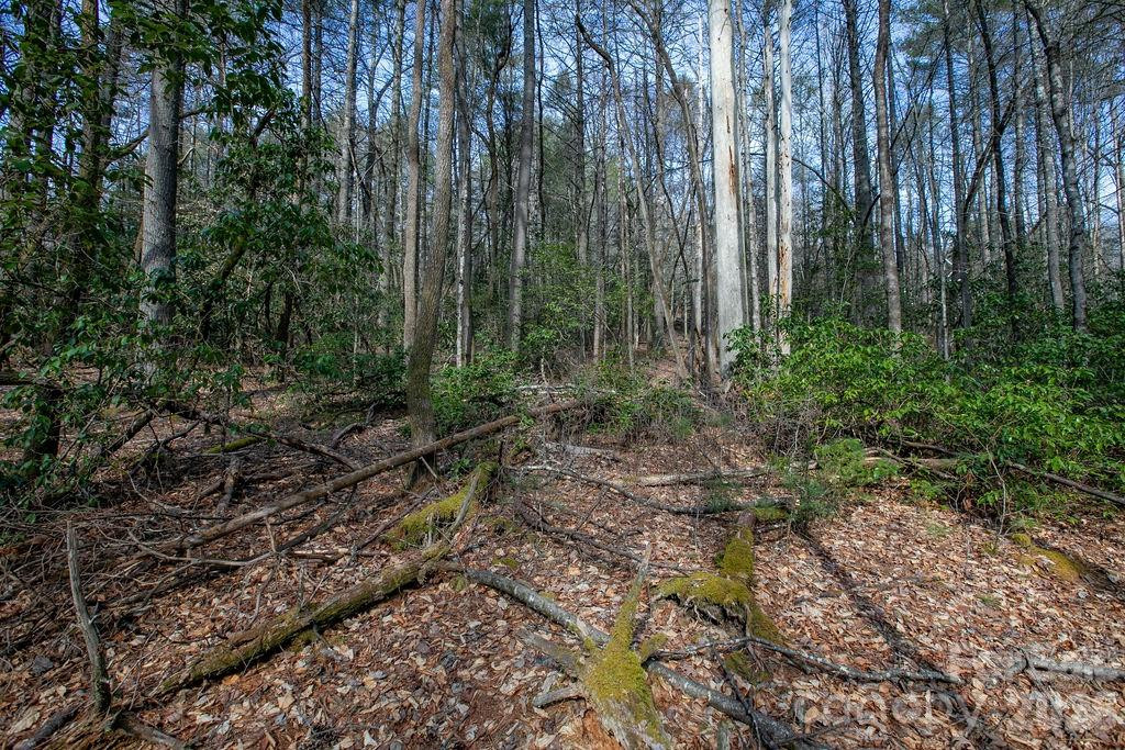 Lot 13 Deerlake Drive #13 - Photo 2