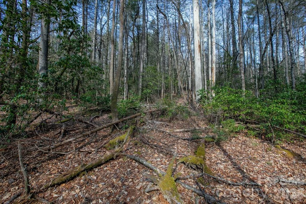 Lot 13 Deerlake Drive #13 - Photo 2