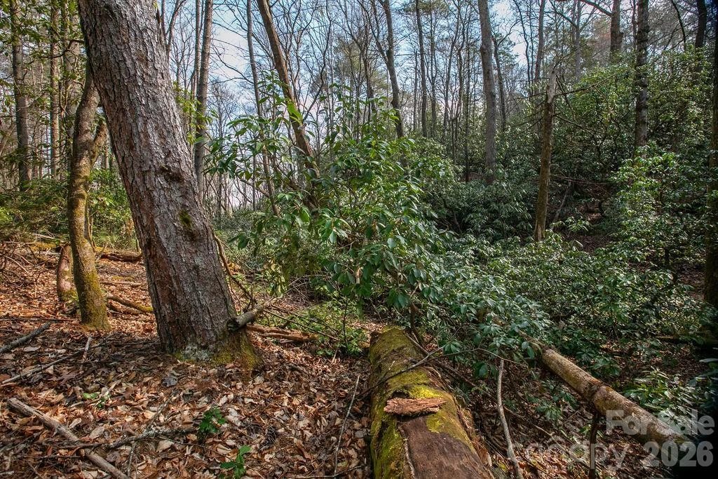 Lot 13 Deerlake Drive #13 - Photo 3