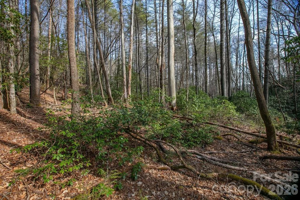 Lot 13 Deerlake Drive #13 - Photo 4