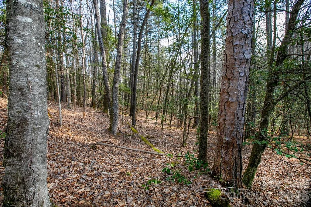 Lot 13 Deerlake Drive #13 - Photo 5