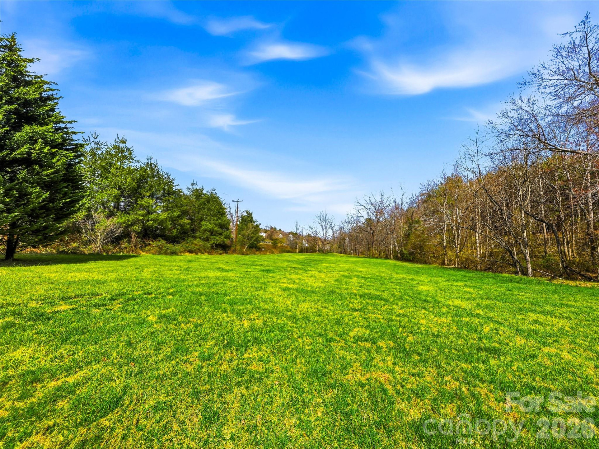 61 Rolling Hills Road - Photo 41