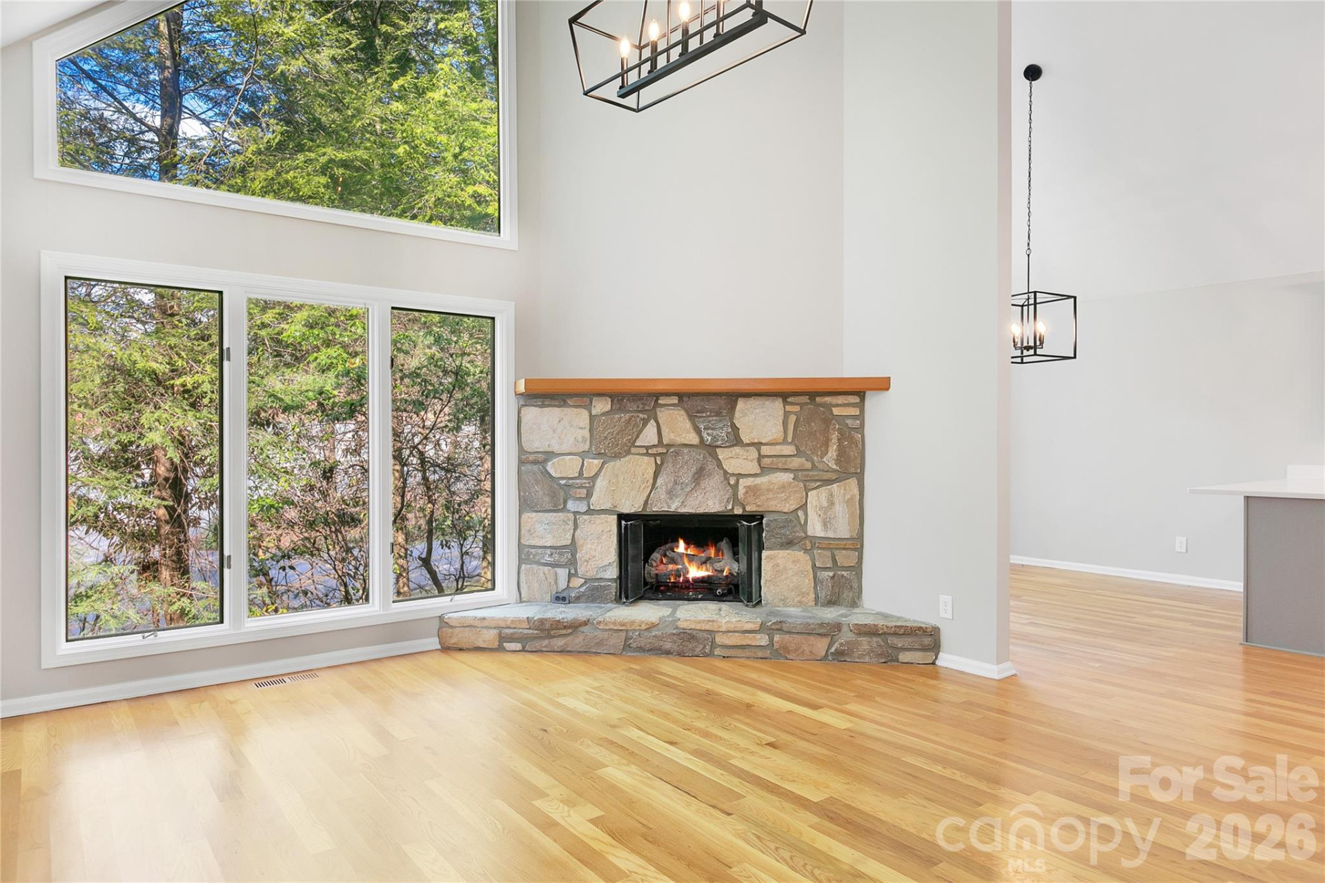 3814 Connestee Trail - Photo 13