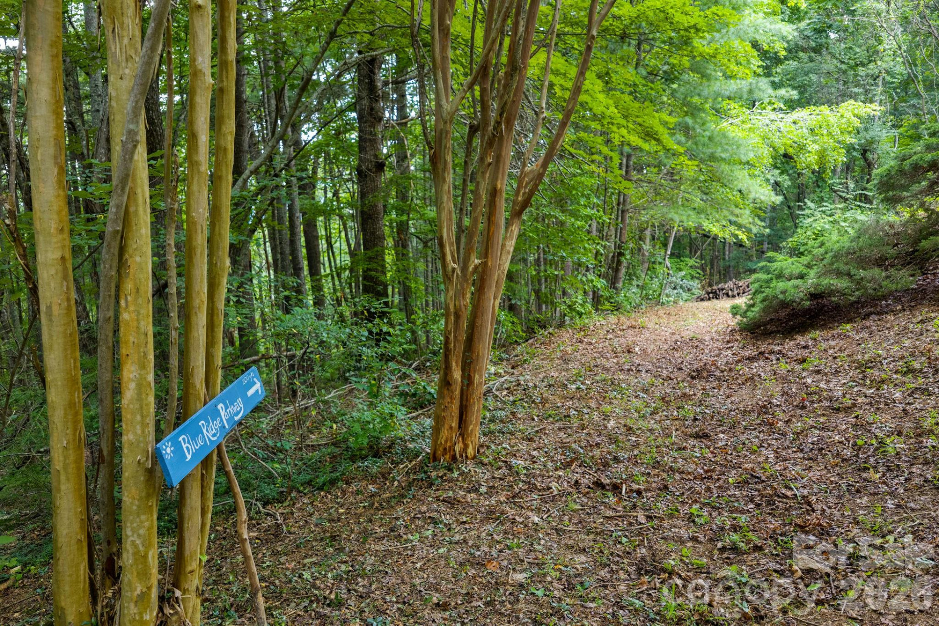 150 Avondale Ridge Road - Photo 25