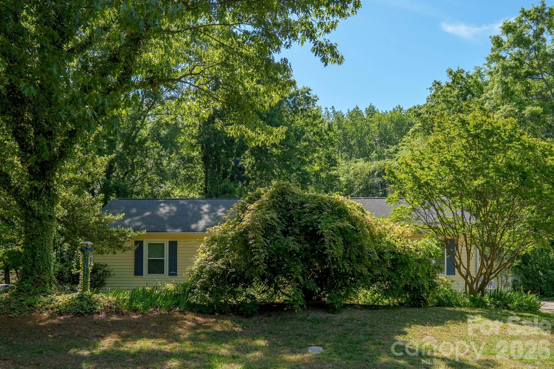 21014 Pine Ridge Drive - Photo 13