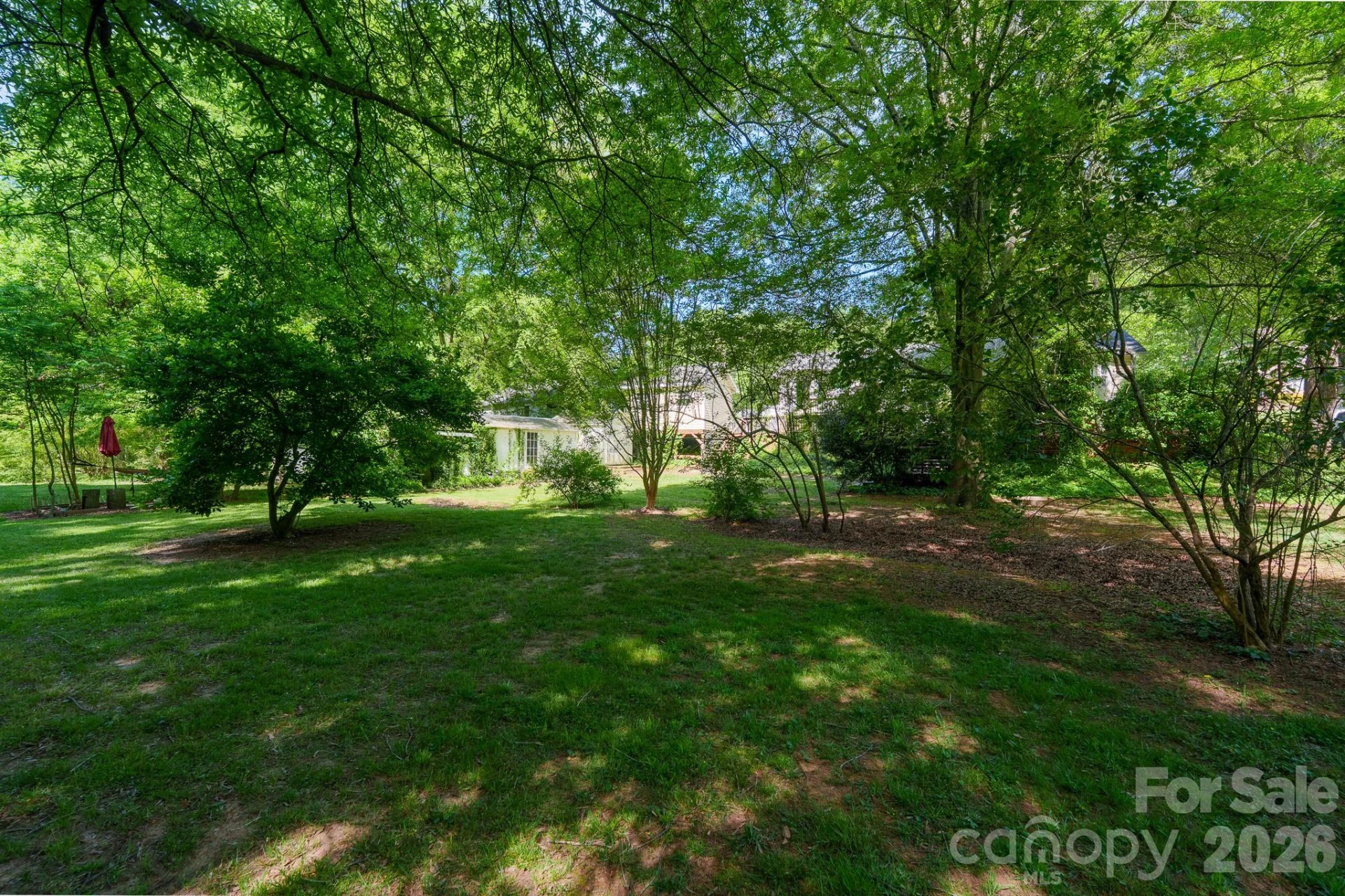 21014 Pine Ridge Drive - Photo 6
