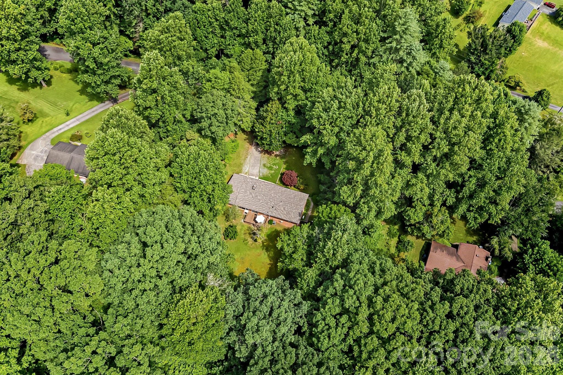 61 Spring Cove Drive - Photo 36