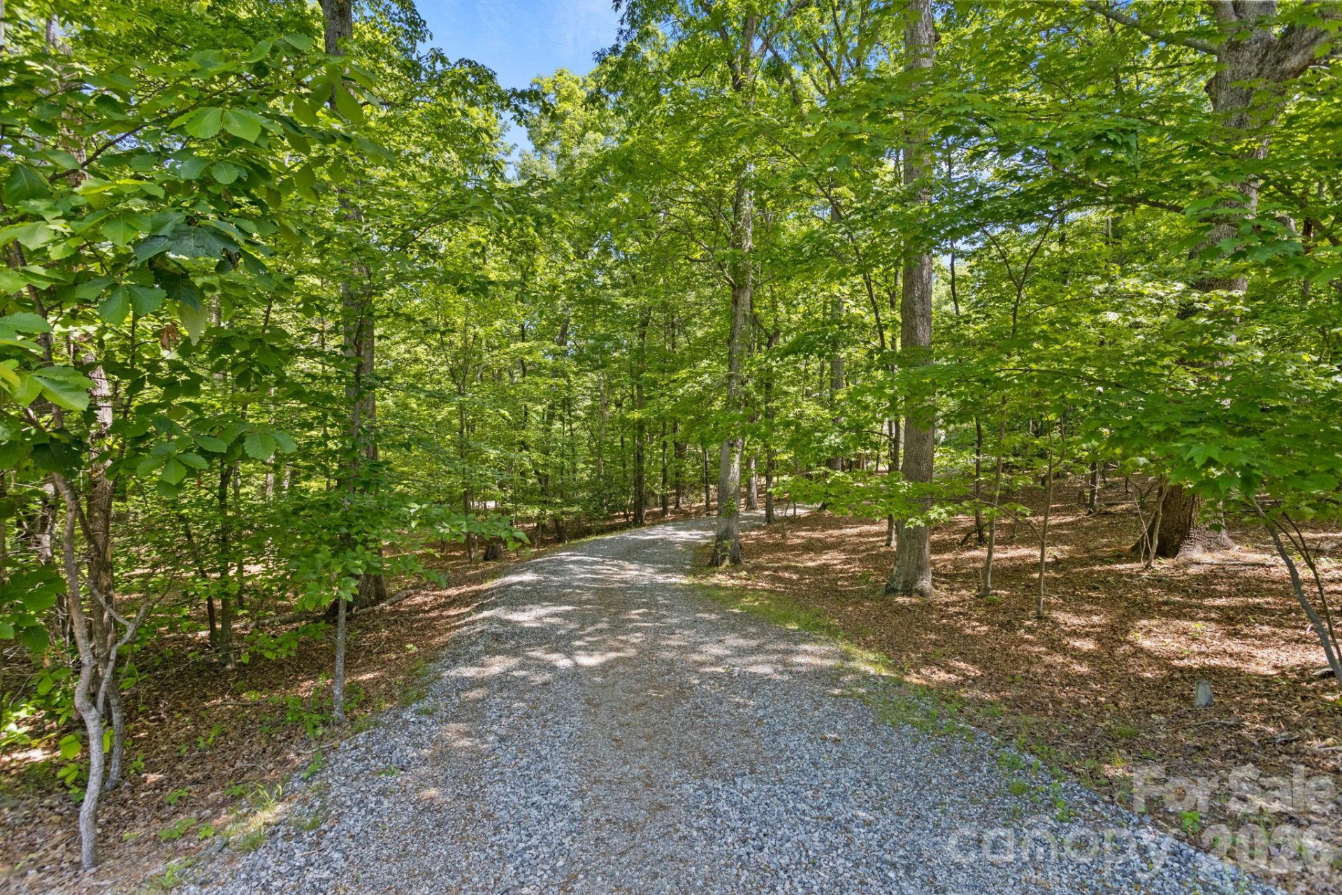 2825 Hunting Country Road - Photo 41