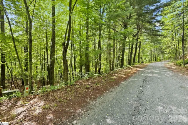 430 Lakeview Drive, Tryon, NC, 28773