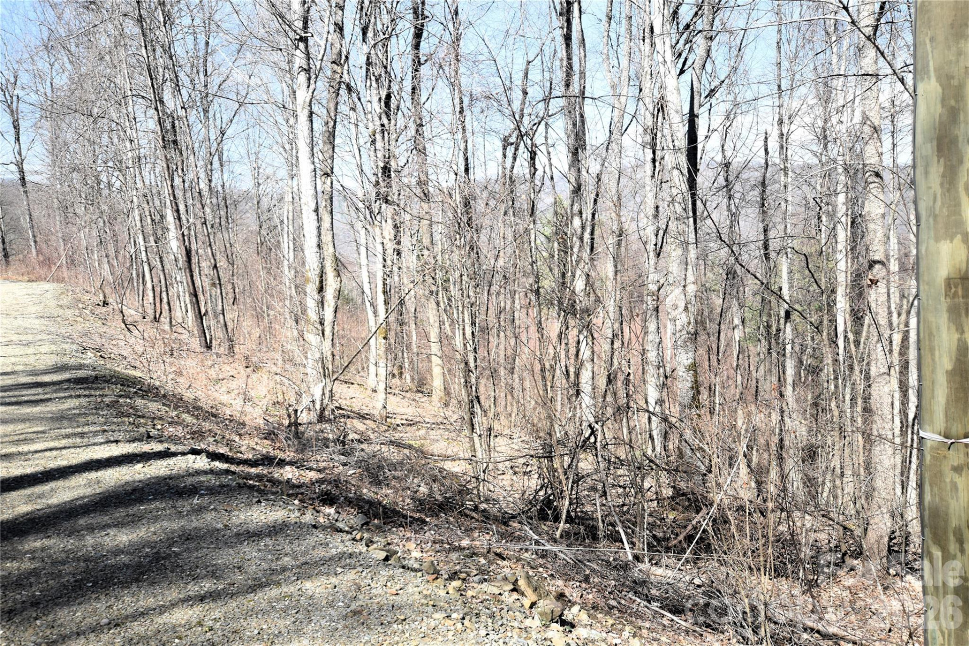 000 Curry Comb Trail #513 - Photo 2