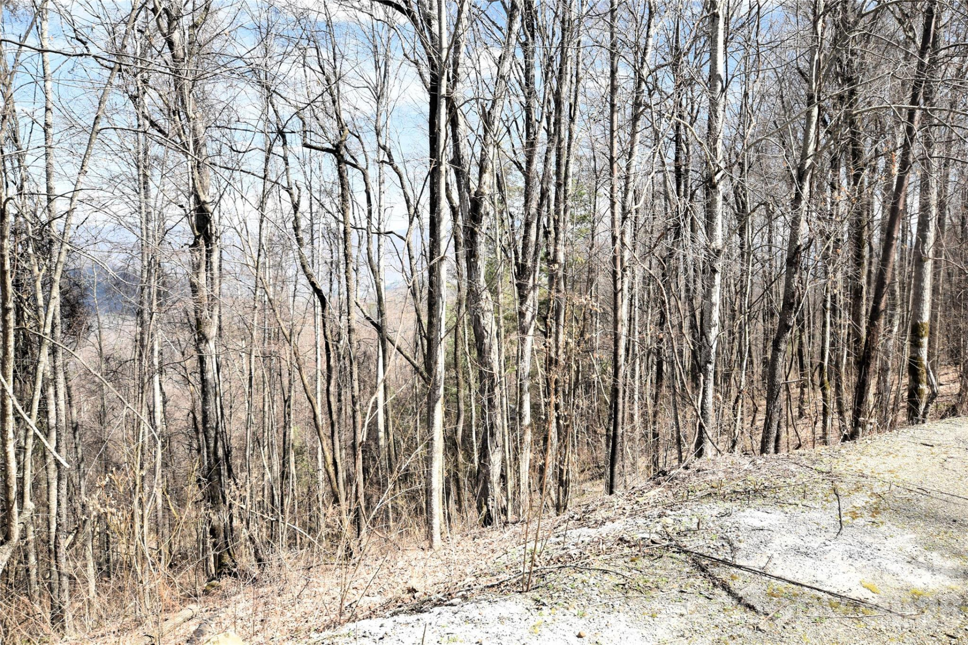 000 Curry Comb Trail #513 - Photo 4