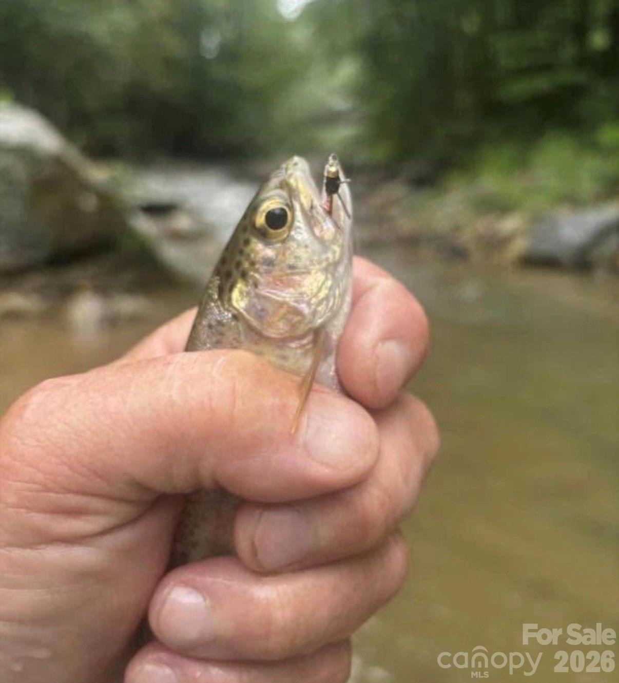 42 Rivercove Lane - Photo 25