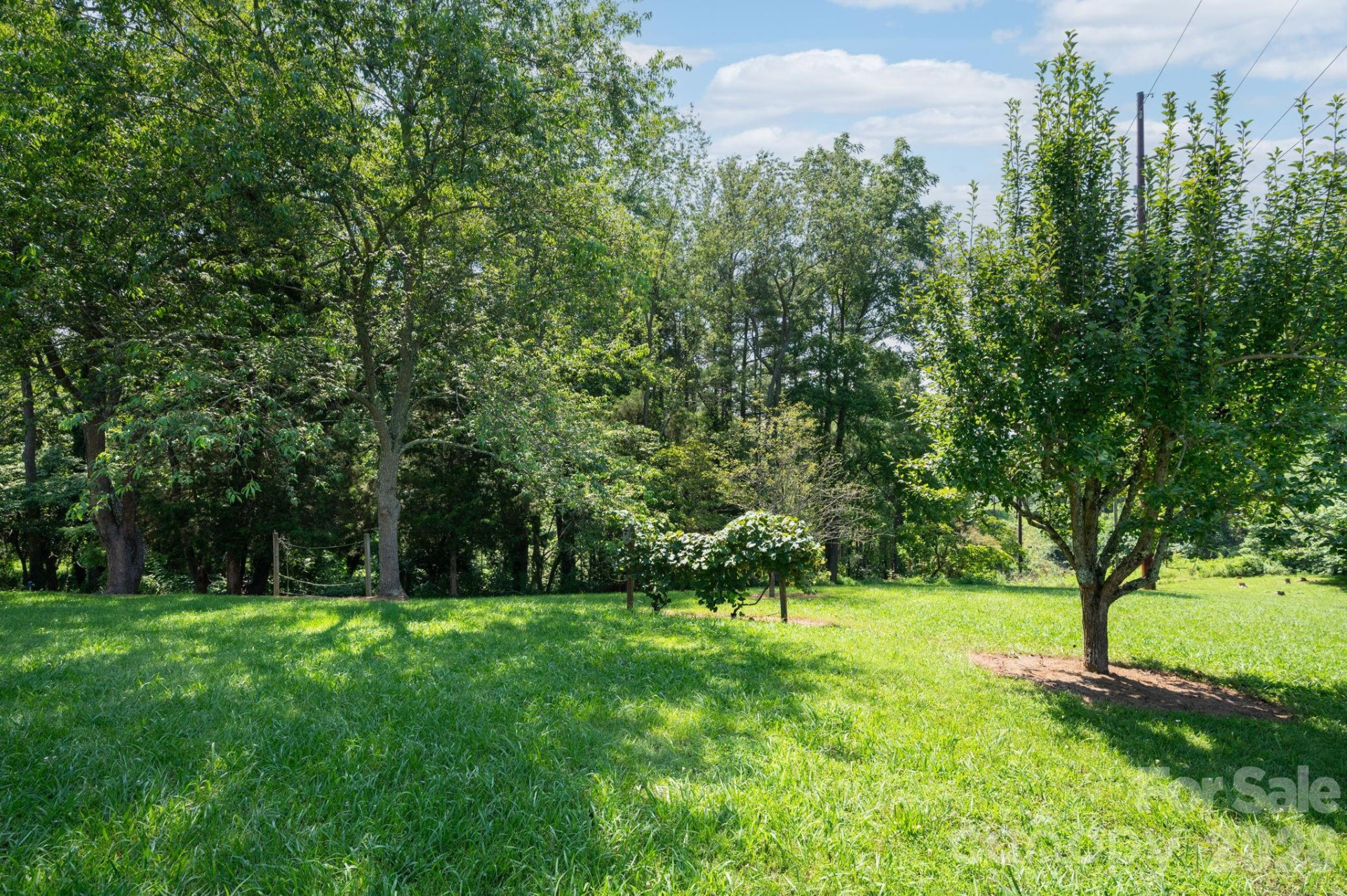 90 Jonestown Road - Photo 38