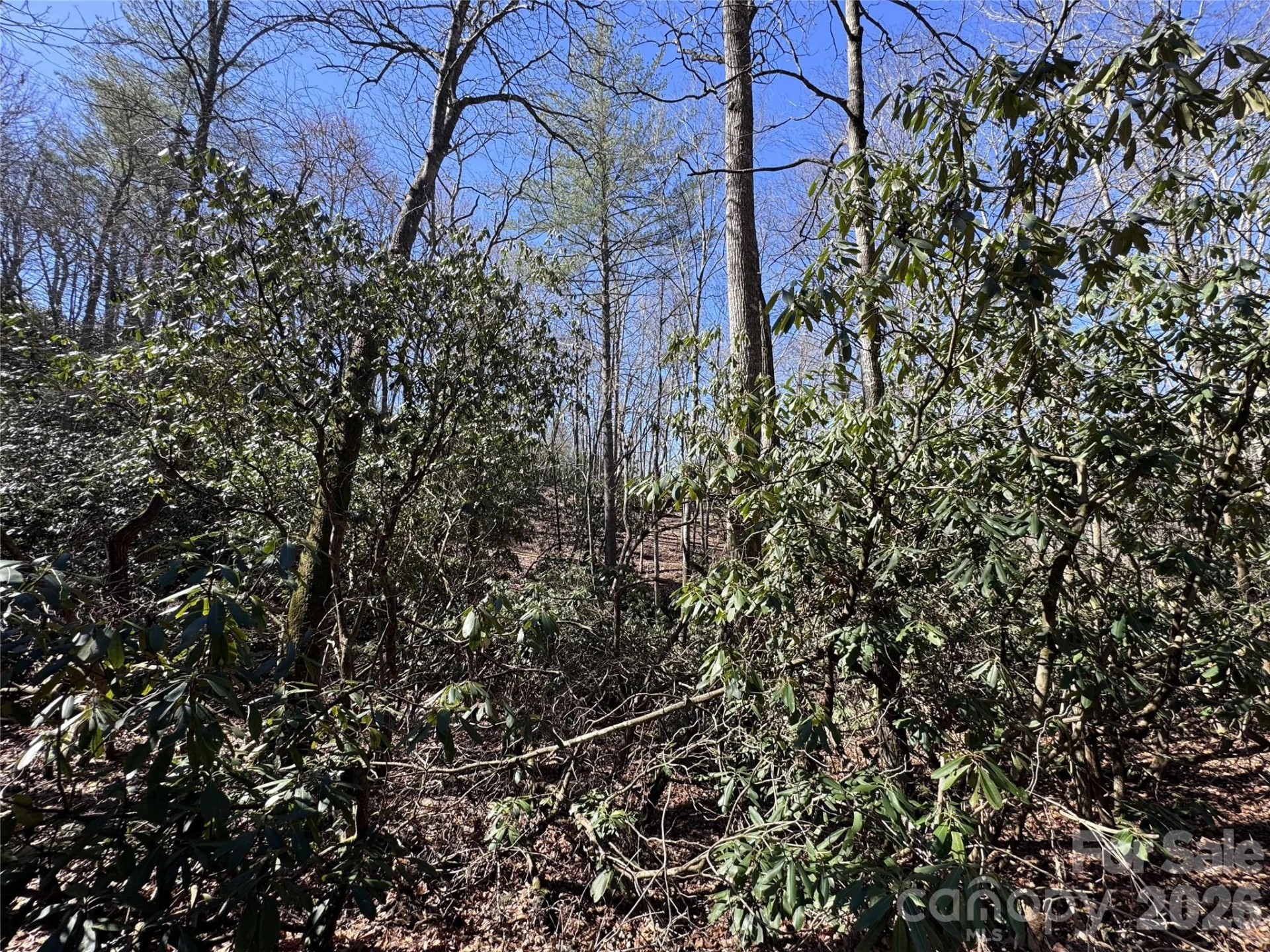 000 Walk About Trail - Photo 2