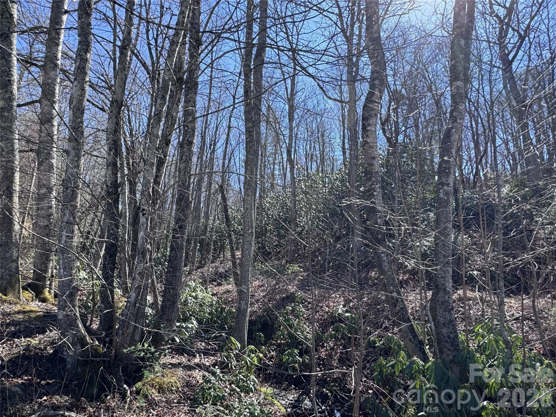 000 Walk About Trail - Photo 3