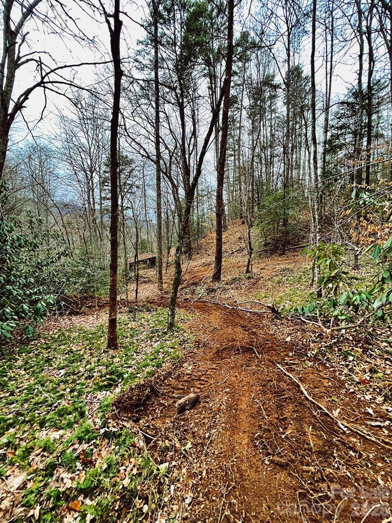 105 Marble Drive - Photo 11