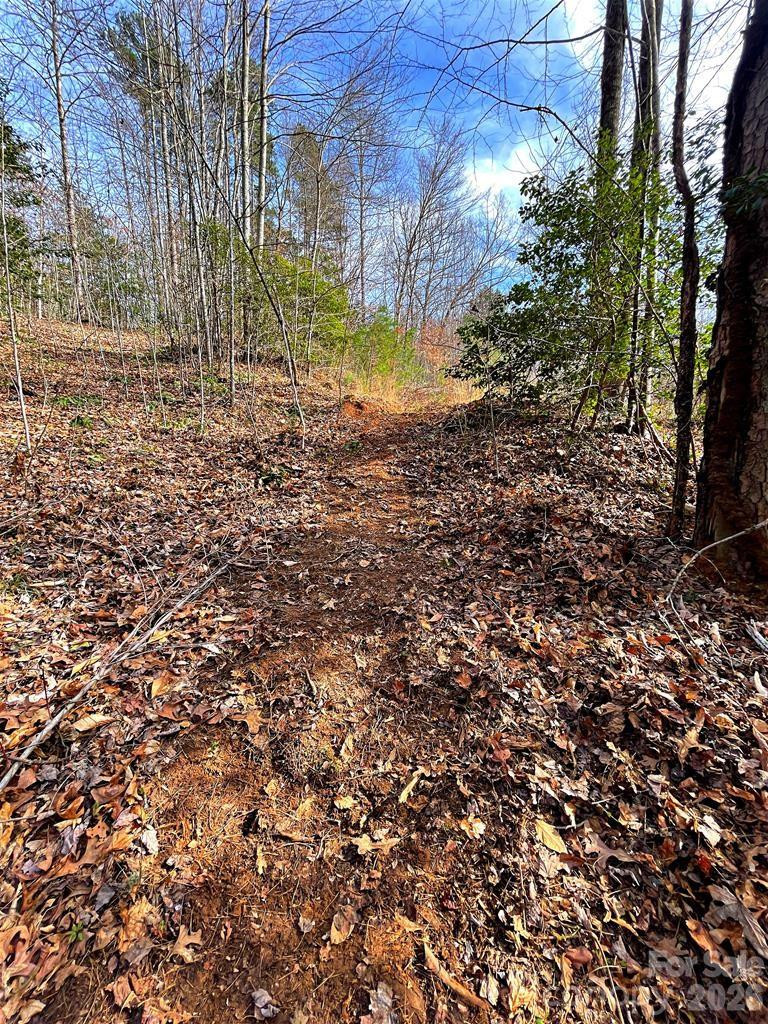 105 Marble Drive - Photo 13