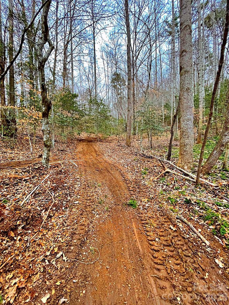 105 Marble Drive - Photo 9