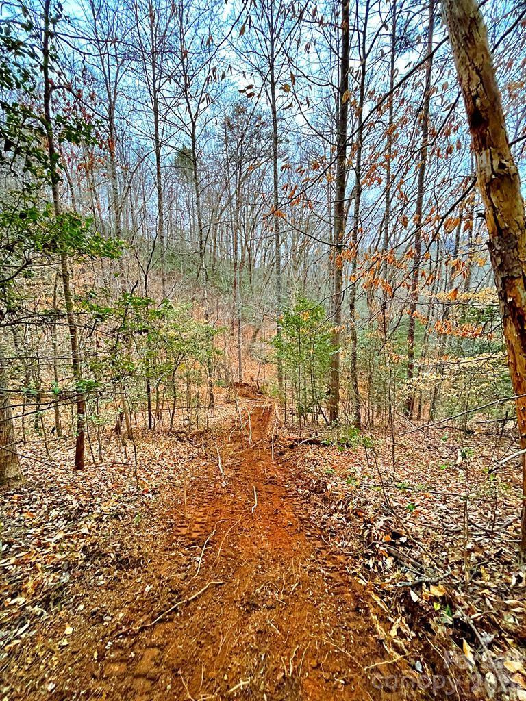 105 Marble Drive - Photo 10