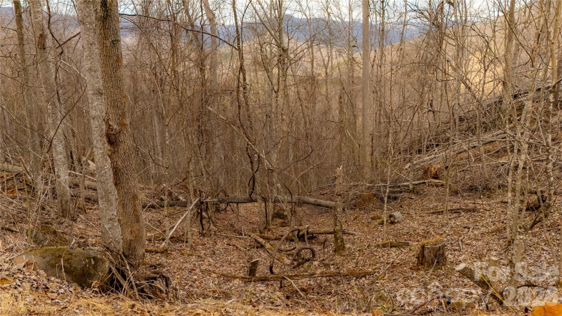 000 Elliotts Loop #123 & 124 - Photo 3