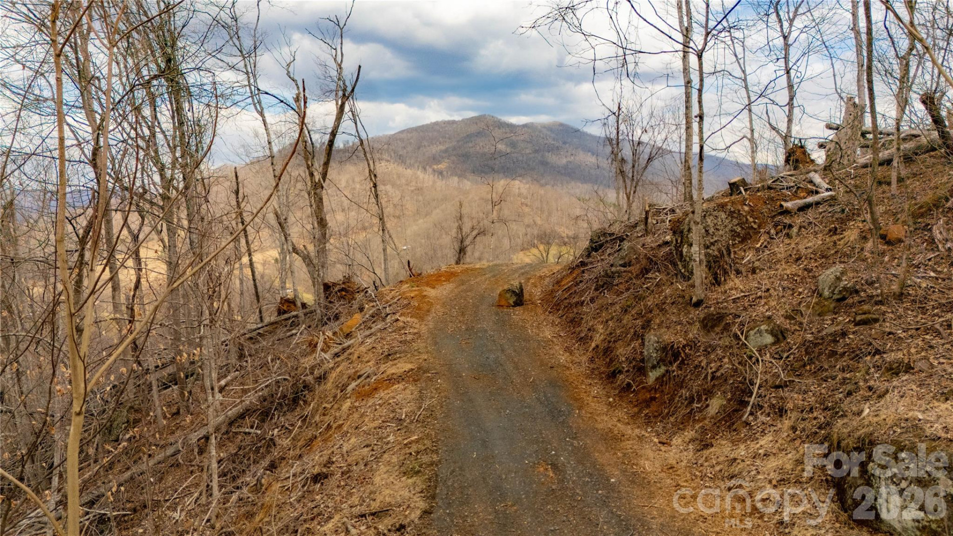 000 Elliotts Loop #123 & 124 - Photo 4