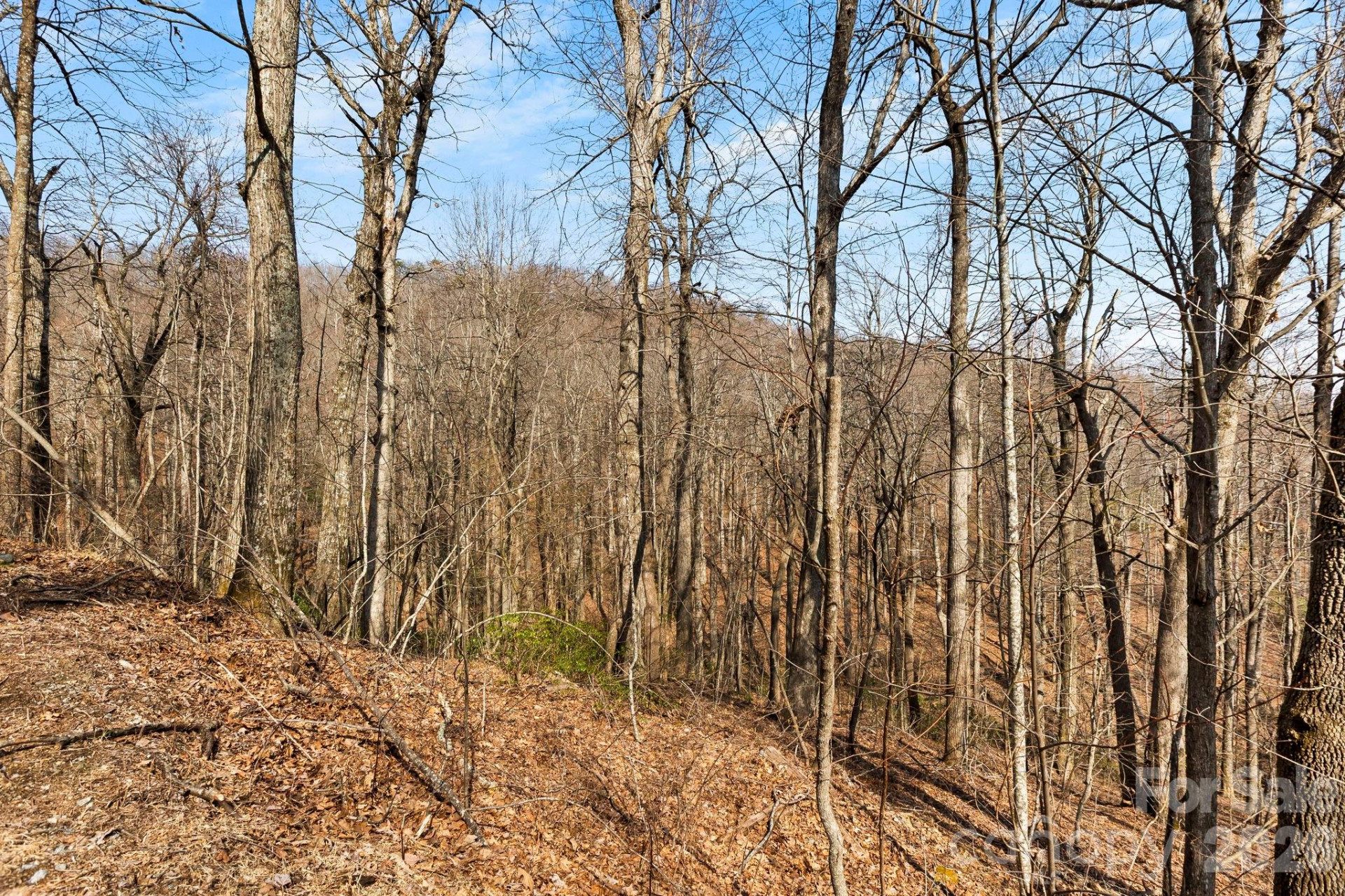 Lot 5 Laurel Mountain Trail - Photo 11