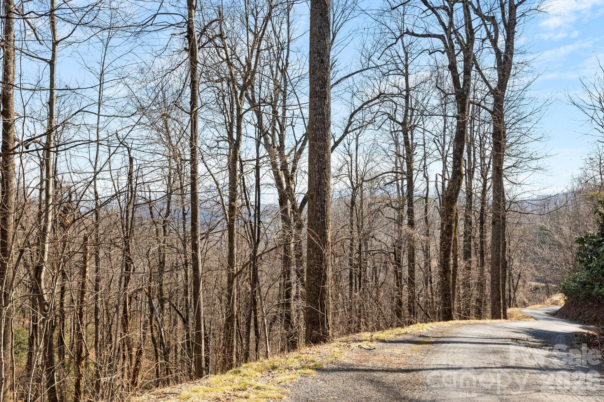 Lot 5 Laurel Mountain Trail - Photo 3