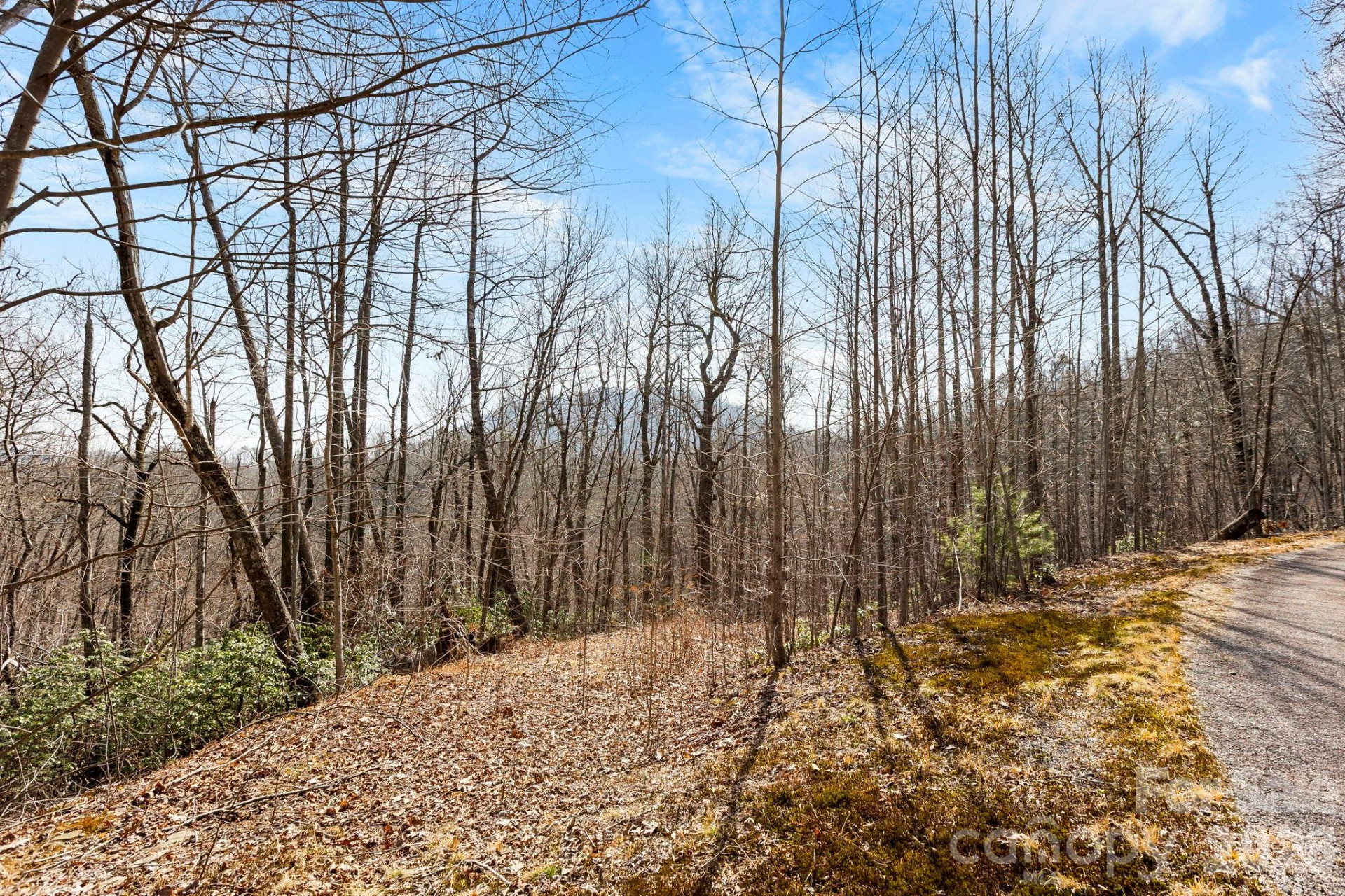 Lot 5 Laurel Mountain Trail - Photo 4