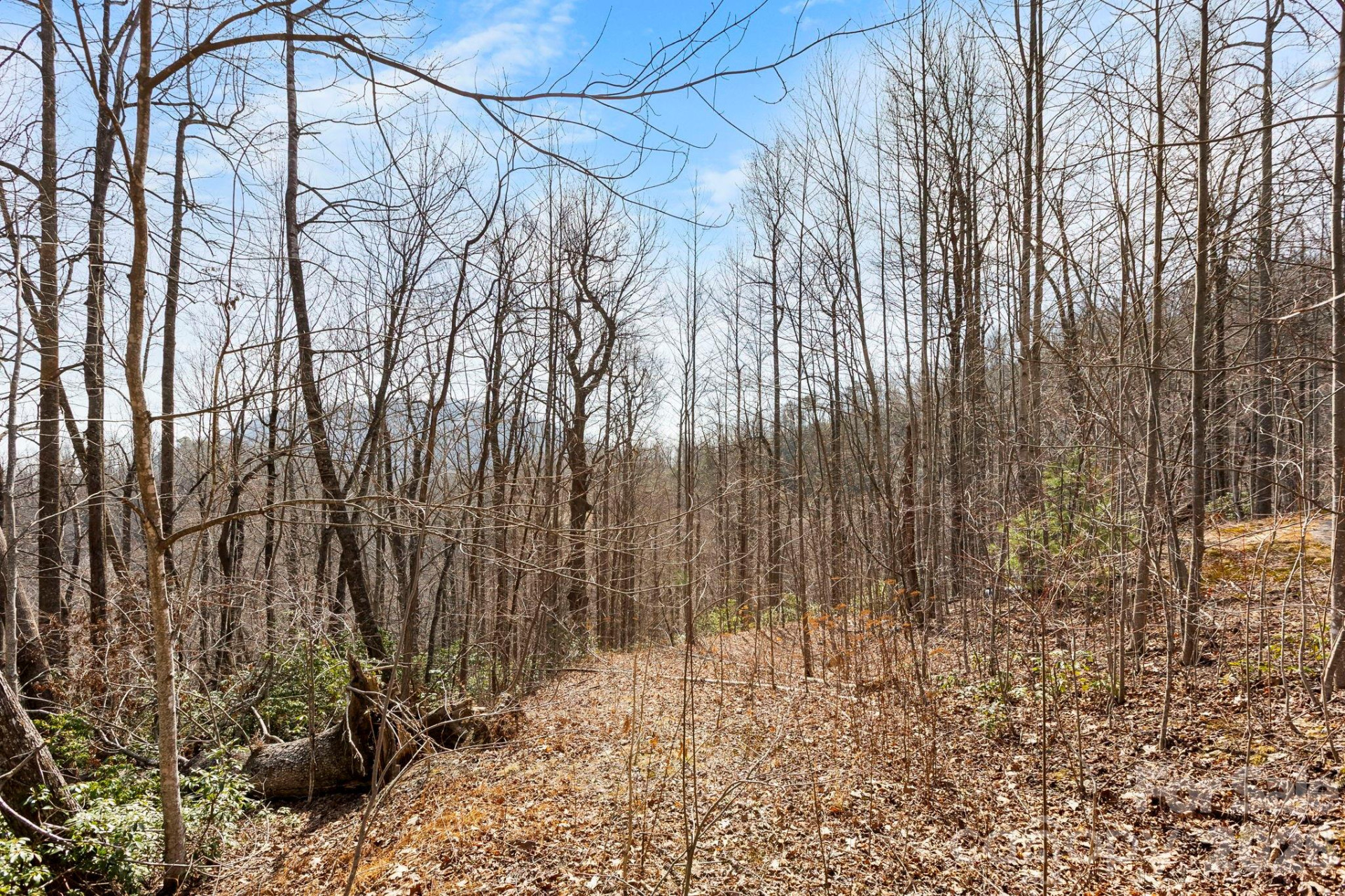 Lot 5 Laurel Mountain Trail - Photo 5