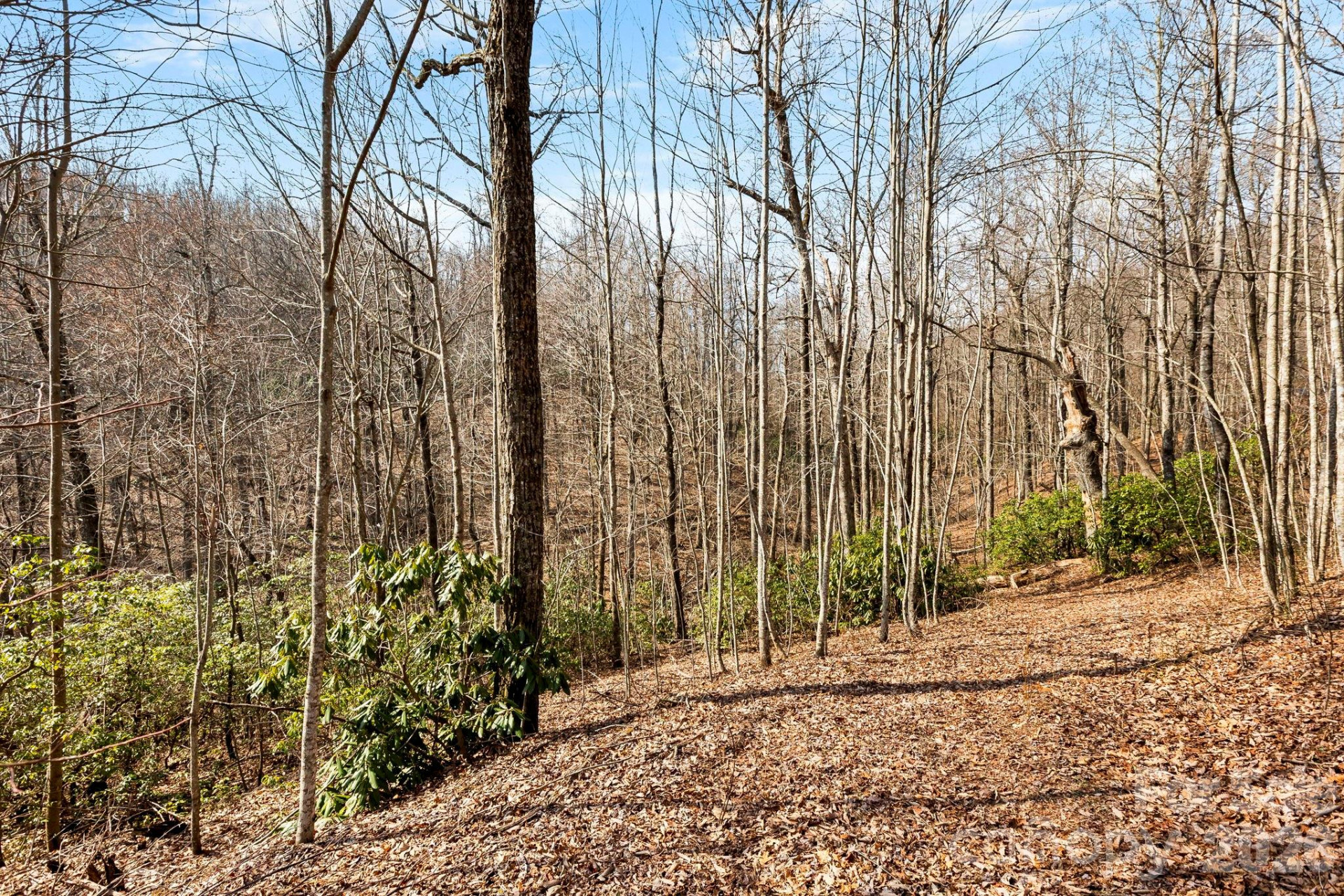 Lot 5 Laurel Mountain Trail - Photo 6